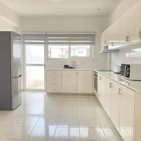 Phaedrus Living Down Town Flat Nestoras 301 Appartamento Limisso